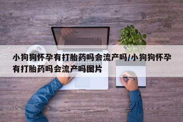 正品打胎药在线购买微信小狗狗怀孕有打胎药吗会流产吗/小狗狗怀孕有打胎药吗会流产吗图片