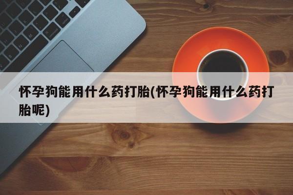 正品打胎药在线购买微信怀孕狗能用什么药打胎(怀孕狗能用什么药打胎呢)